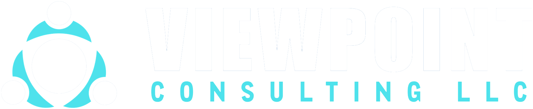 Viewpoint Consulting LLC logo (white)